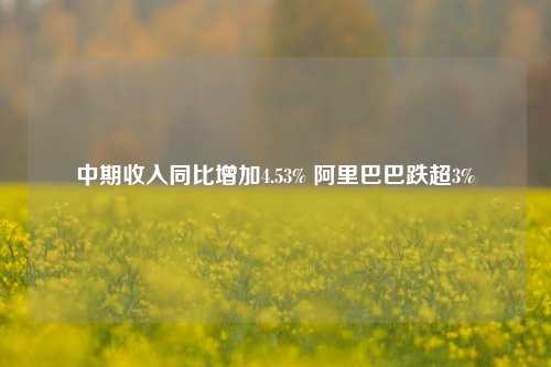 中期收入同比增加4.53% 阿里巴巴跌超3%-第1张图片-兔尾说说网