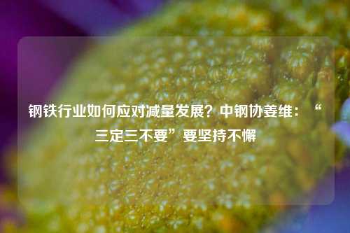 钢铁行业如何应对减量发展？中钢协姜维：“三定三不要”要坚持不懈-第1张图片-兔尾说说网