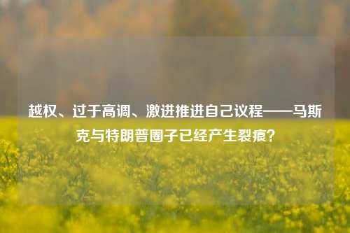 越权、过于高调、激进推进自己议程——马斯克与特朗普圈子已经产生裂痕？-第1张图片-兔尾说说网