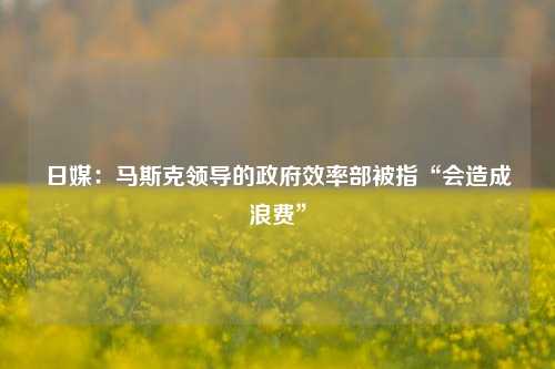 日媒：马斯克领导的政府效率部被指“会造成浪费”-第1张图片-兔尾说说网