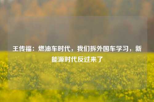 王传福：燃油车时代，我们拆外国车学习，新能源时代反过来了-第1张图片-兔尾说说网