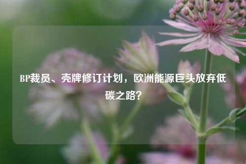 BP裁员、壳牌修订计划，欧洲能源巨头放弃低碳之路？-第1张图片-兔尾说说网