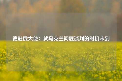 德驻俄大使：就乌克兰问题谈判的时机未到-第1张图片-兔尾说说网