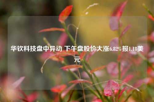 华钦科技盘中异动 下午盘股价大涨6.82%报1.18美元-第1张图片-兔尾说说网