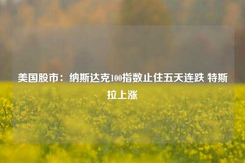 美国股市：纳斯达克100指数止住五天连跌 特斯拉上涨-第1张图片-兔尾说说网