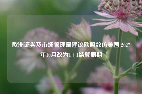 欧洲证券及市场管理局建议欧盟效仿美国 2027年10月改为T+1结算周期-第1张图片-兔尾说说网