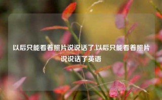 以后只能看着照片说说话了,以后只能看着照片说说话了英语