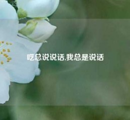 呓总说说话,我总是说话