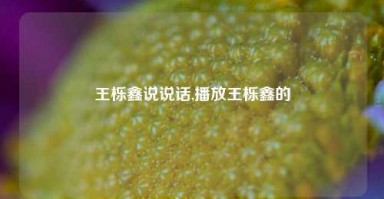 王栎鑫说说话,播放王栎鑫的