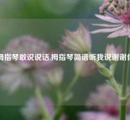 拇指琴敢说说话,拇指琴简谱听我说谢谢你