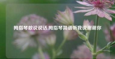 拇指琴敢说说话,拇指琴简谱听我说谢谢你