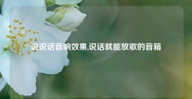 说说话音响效果,说话就能放歌的音箱