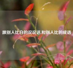 跟别人比白的说说话,和别人比的成语