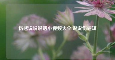 伤感说说说话小视频大全,说说伤感短