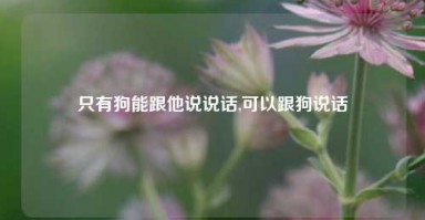 只有狗能跟他说说话,可以跟狗说话