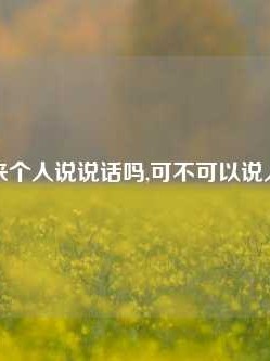 能来个人说说话吗,可不可以说人话