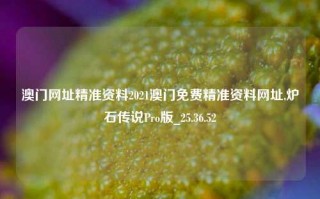 澳门网址精准资料2021澳门免费精准资料网址,炉石传说Pro版_25.36.52