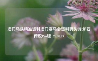 澳门马头精准资料澳门赛马会资料码头诗,炉石传说Pro版_25.36.19