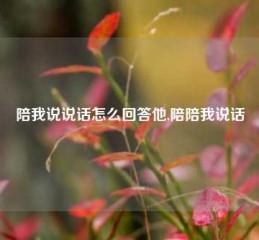 陪我说说话怎么回答他,陪陪我说话