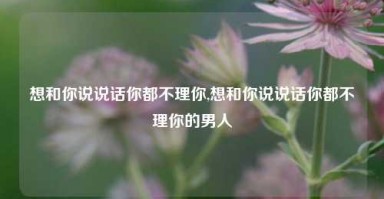 想和你说说话你都不理你,想和你说说话你都不理你的男人