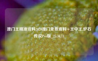 澳门王精准资料2020澳门免费资料+王中王,炉石传说Pro版_25.36.73