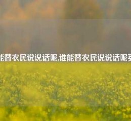 谁能替农民说说话呢,谁能替农民说说话呢英文