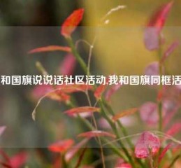 我和国旗说说话社区活动,我和国旗同框活动