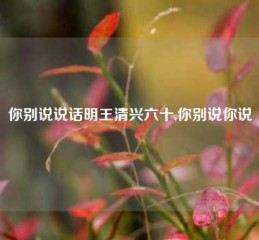 你别说说话明王清兴六十,你别说你说