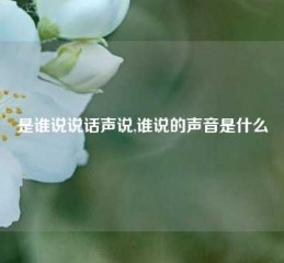 是谁说说话声说,谁说的声音是什么