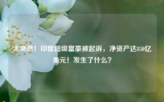 太突然！印度超级富豪被起诉，净资产达850亿美元！发生了什么？