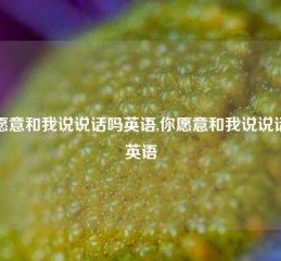 你愿意和我说说话吗英语,你愿意和我说说话吗英语