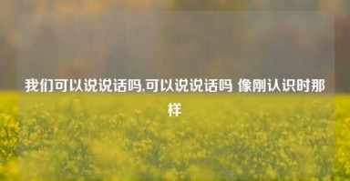 我们可以说说话吗,可以说说话吗 像刚认识时那样