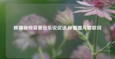 胖猫视频背景音乐说说话,胖猫猫儿歌歌词