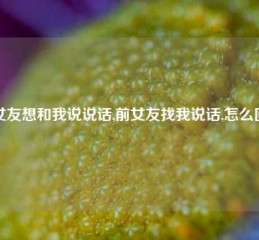 前女友想和我说说话,前女友找我说话,怎么回复