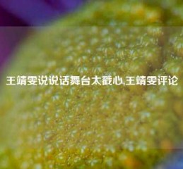 王靖雯说说话舞台太戳心,王靖雯评论