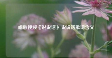 唱歌视频《说说话》,说说话歌词含义