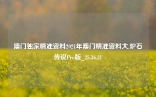 澳门独家精准资料2021年澳门精准资料大,炉石传说Pro版_25.36.31