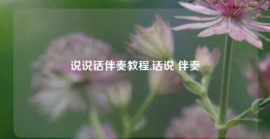 说说话伴奏教程,话说 伴奏