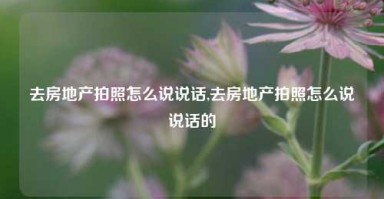 去房地产拍照怎么说说话,去房地产拍照怎么说说话的