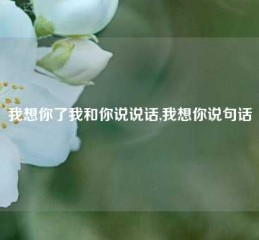 我想你了我和你说说话,我想你说句话