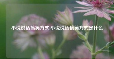 小说说话搞笑方式,小说说话搞笑方式是什么