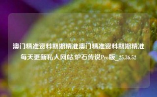 澳门精准资料期期精准澳门精准资料期期精准每天更新私人网站,炉石传说Pro版_25.36.52