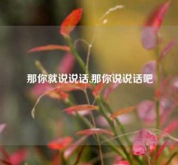 那你就说说话,那你说说话吧