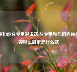 就是和你在梦里说说话,在梦里和你相遇你的笑容那么甜蜜是什么歌