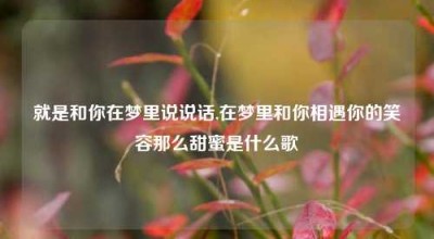 就是和你在梦里说说话,在梦里和你相遇你的笑容那么甜蜜是什么歌