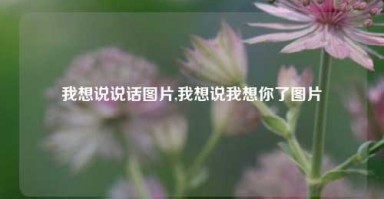 我想说说话图片,我想说我想你了图片