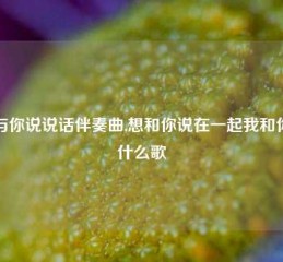 想与你说说话伴奏曲,想和你说在一起我和你是什么歌