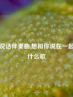 想与你说说话伴奏曲,想和你说在一起我和你是什么歌