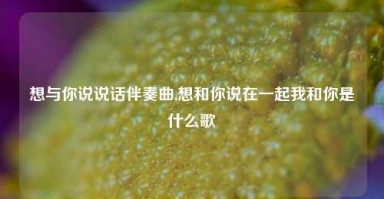 想与你说说话伴奏曲,想和你说在一起我和你是什么歌