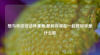 想与你说说话伴奏曲,想和你说在一起我和你是什么歌